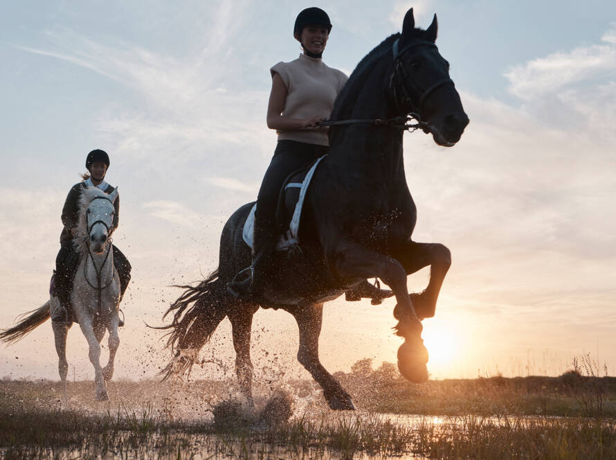 Nordseehotel_Borkum_reiten
